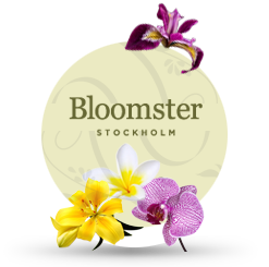Bloomster